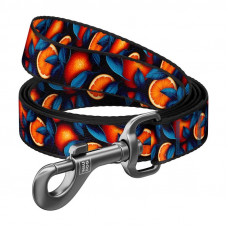 Correa para perros WAUDOG „Oranges“ – Nylon 122 cm, Talla M para razas pequeñas y medianas